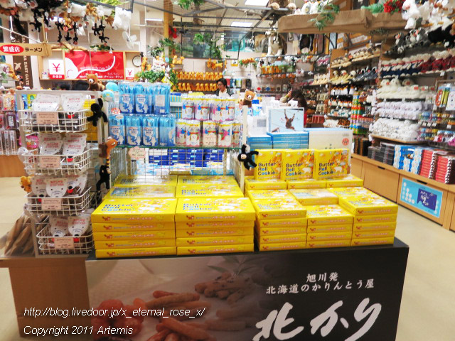 18.11.22.14 旭山動物園 (12)