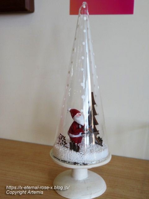 22.12.25 サフラン  (14)