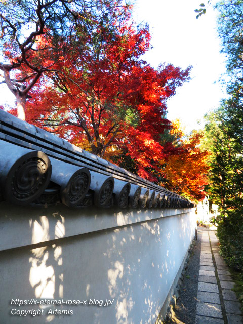 19.11.23.7 妙心寺 退蔵院  (93)