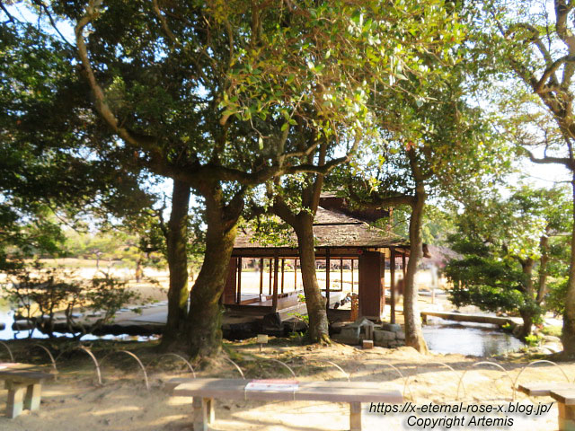 23.1.1 岡山後楽園  (75)