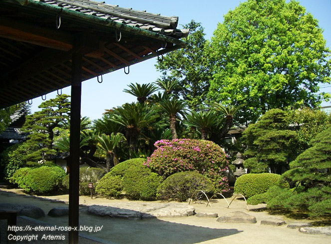 11.5.5.3 旧野﨑家住宅 野﨑家塩業歴史館 (19)