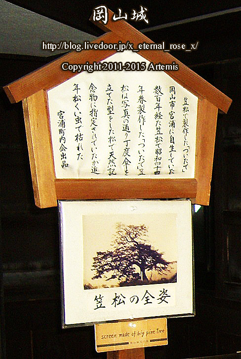 3 岡山城  (36)