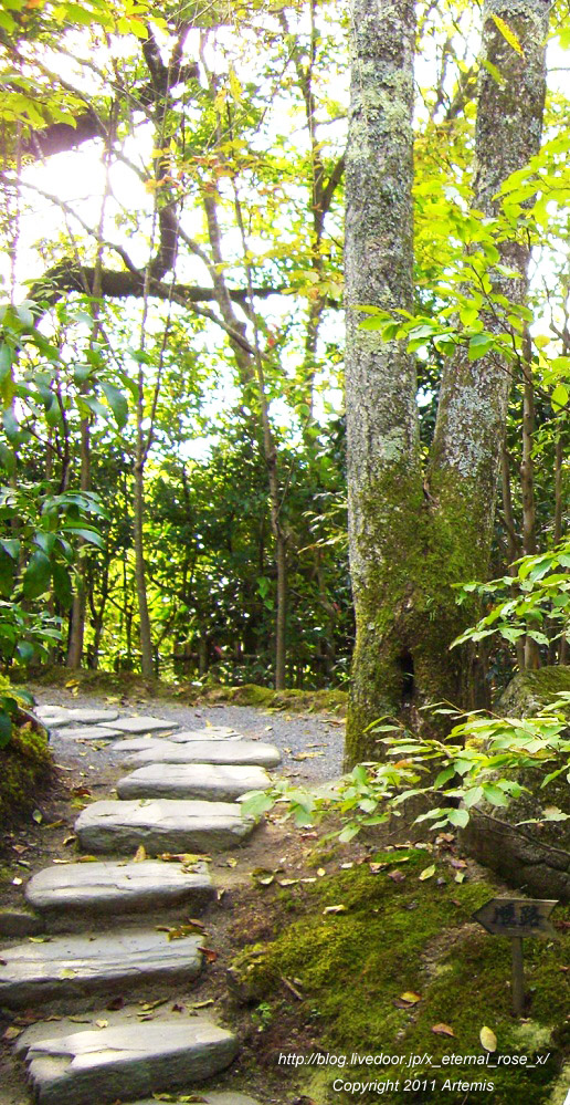 10.10.18.5 宝泉院  (24)