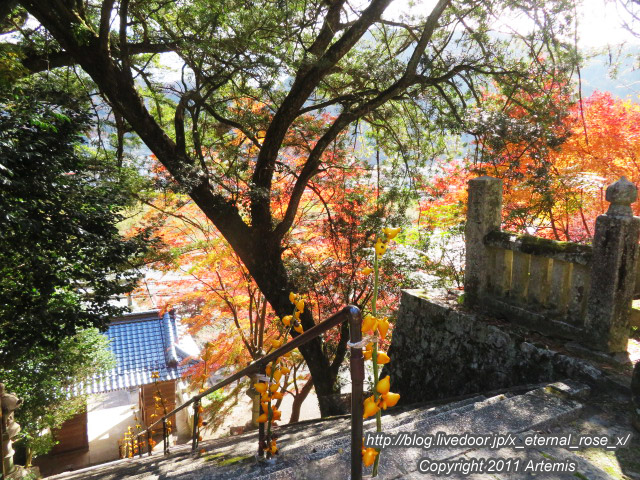 20.11.21.3 備中高梁稲荷神社  (14)
