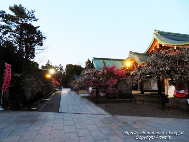 23.3. 北野天満宮 (15)