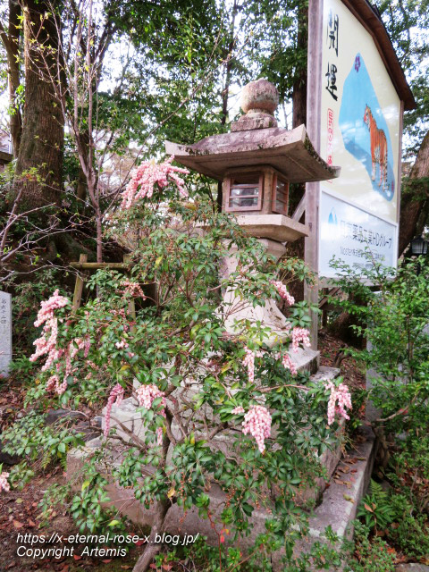22.3.30.6 長岡天満宮 (2)