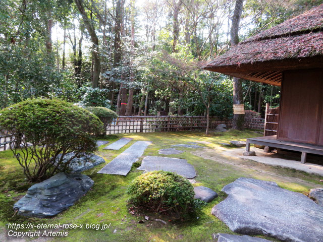 23.1.1.6 岡山後楽園 (15)
