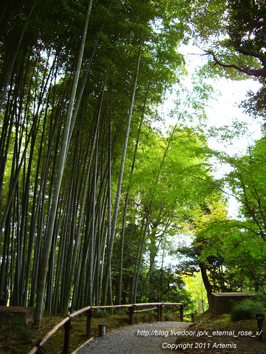 10.10.20.9 高台寺  (38)