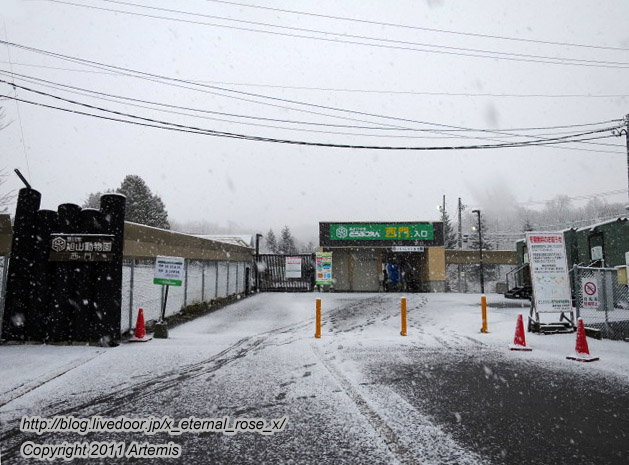 18.11.22.18 旭山動物園  (43)