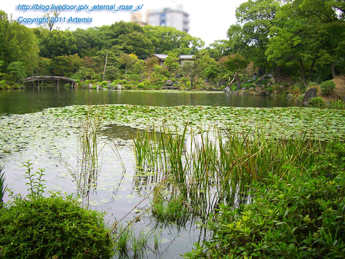 10.10.21 渉成園  (55)