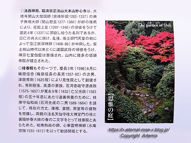 19.11.23.3 桂春院  (30)