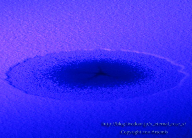 18.11.21.9 青い池  (56)