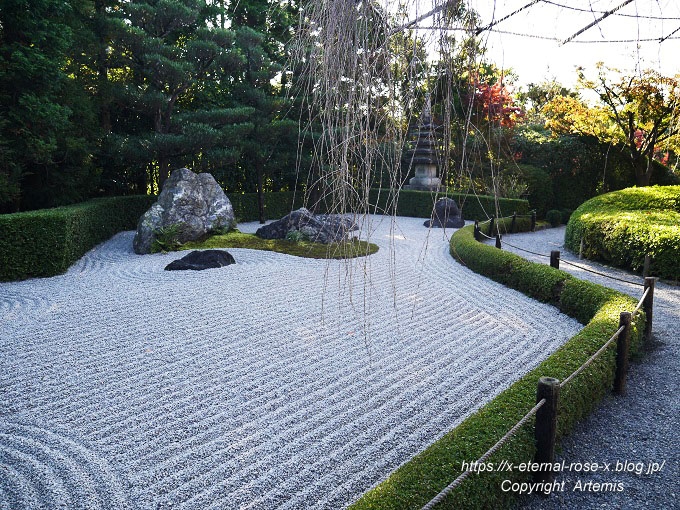 19.11.23.7 妙心寺 退蔵院  (117)