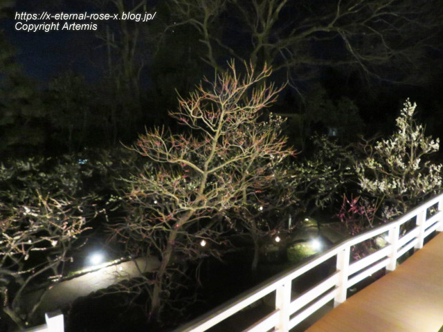 23.3.3. 北野天満宮 (78)