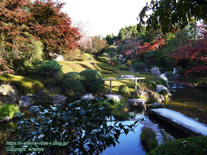 19.11.23.7 妙心寺 退蔵院  (122)