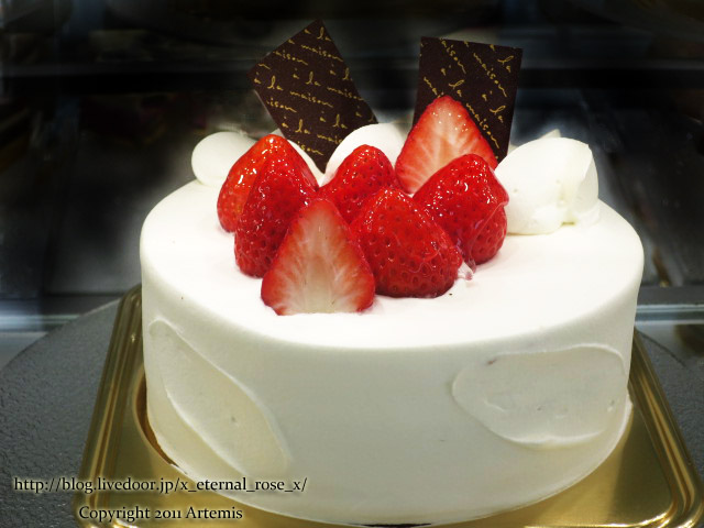 18.4.8 白十字円山 (24)