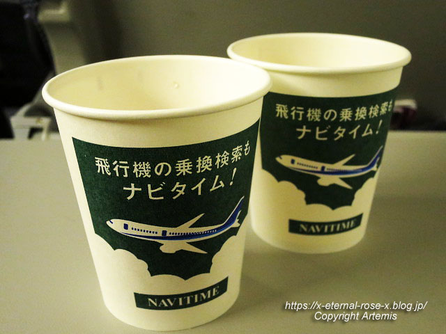 18.11.24.16 新千歳空港 (19)