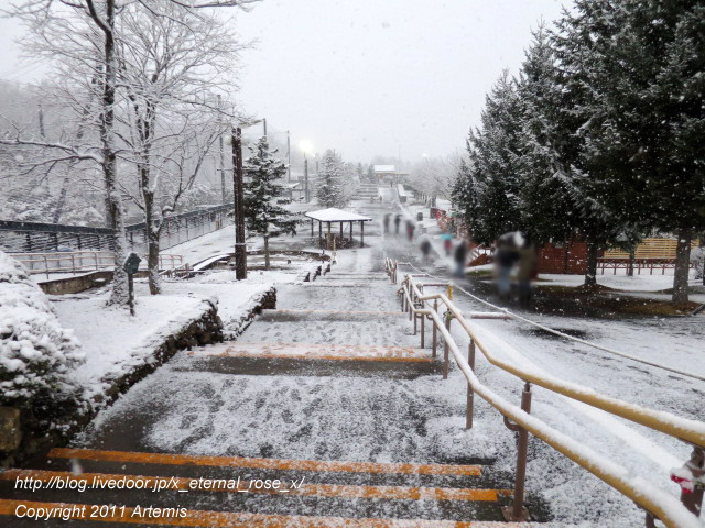 18.11.22.18 旭山動物園  (42)