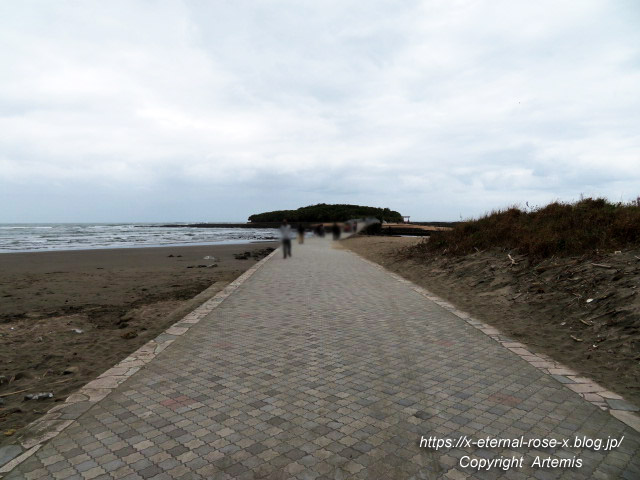 20.11.1.1 青島  (15)