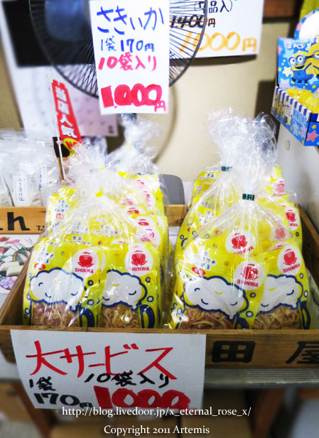 18.6.16.5 しょっぴんぐばさーる館 (10)