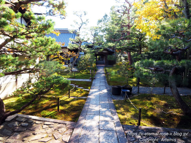 19.11.23.4 大雄院 (8)