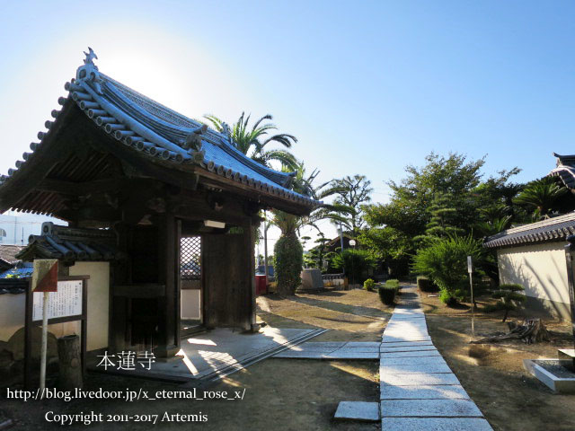 10 本蓮寺 (7)