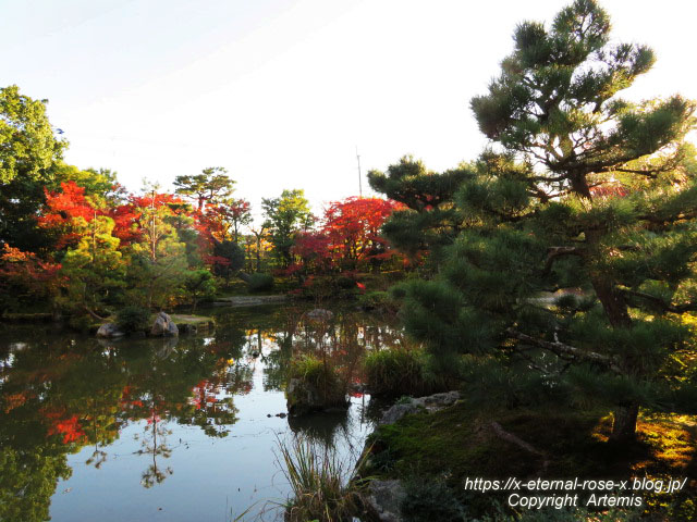 19.11.23.9 法金剛院 (45)