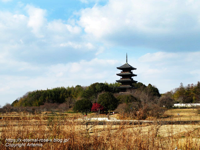 22.1.9.1 備中国分寺 (2)