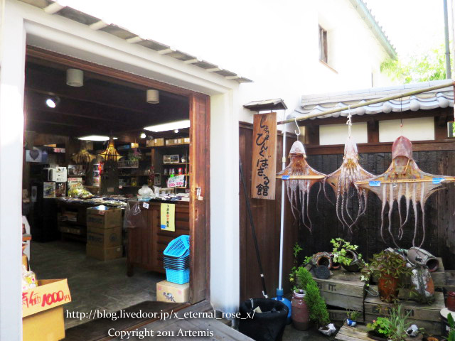 18.6.16.5 しょっぴんぐばさーる館 (18)