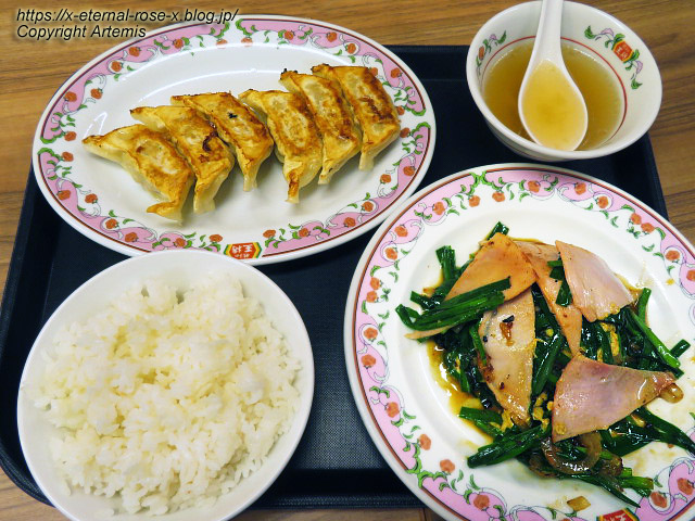 23.3.1 餃子の王将 長岡天神店 (15)