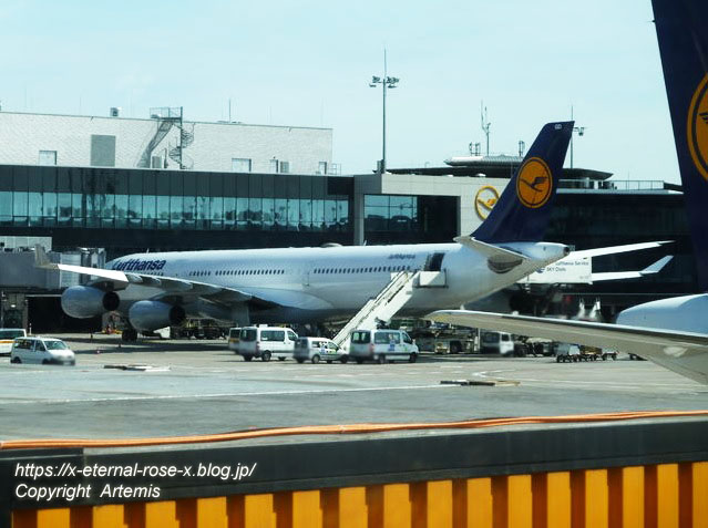 ドイツ フランクフルト空港から イタリア フィウミチノ空港 11 Eternal Rose エターナルローズ