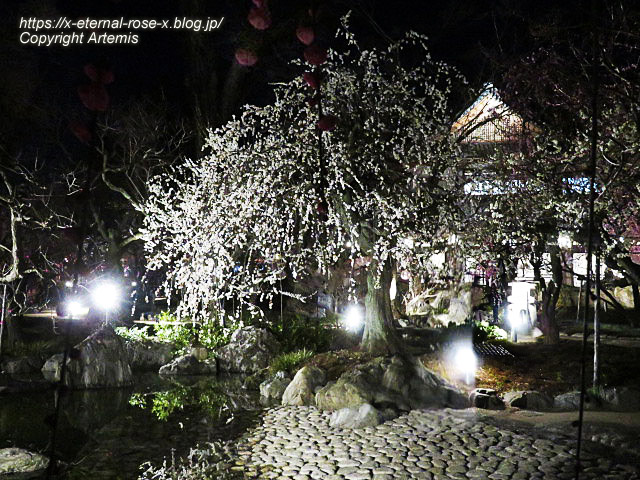 23.3.3. 北野天満宮 (52)
