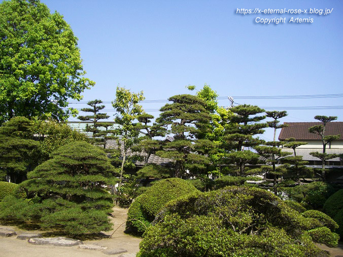 11.5.5.3 旧野﨑家住宅 野﨑家塩業歴史館 (20)