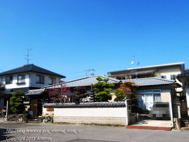 20.3.6 梟のこども  (108)