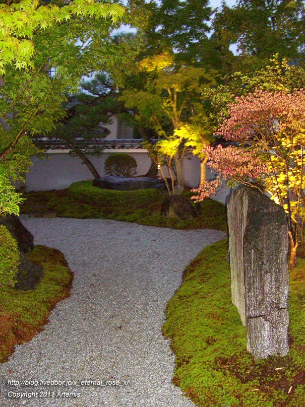 10.10.24.5 イクスカフェ京都嵐山本店  (5)