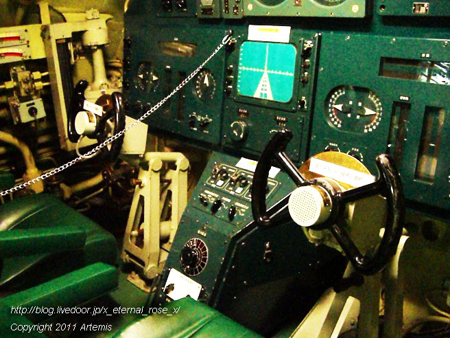 10.8.10.2 てつのくじら館  (5)