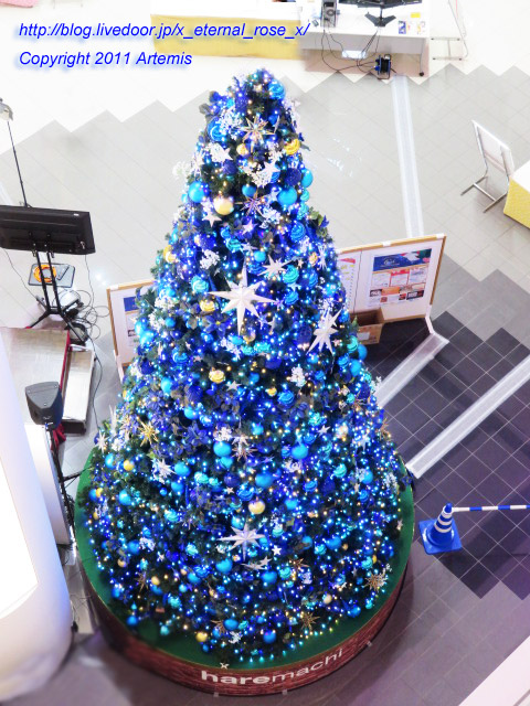 20.12.13.3 イオンモール岡山  (6)