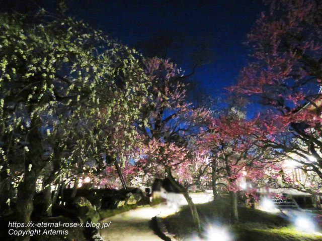 23.3.3. 北野天満宮 (38)