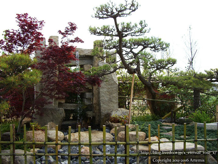 27 おかやま花だより (54)