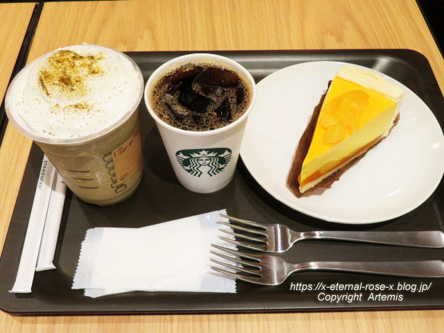 22.8.11.1 スターバックス コーヒー 岡山天満屋店 (11)