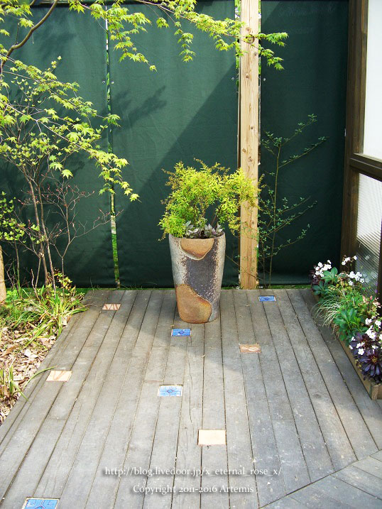 27 おかやま花だより  (22)