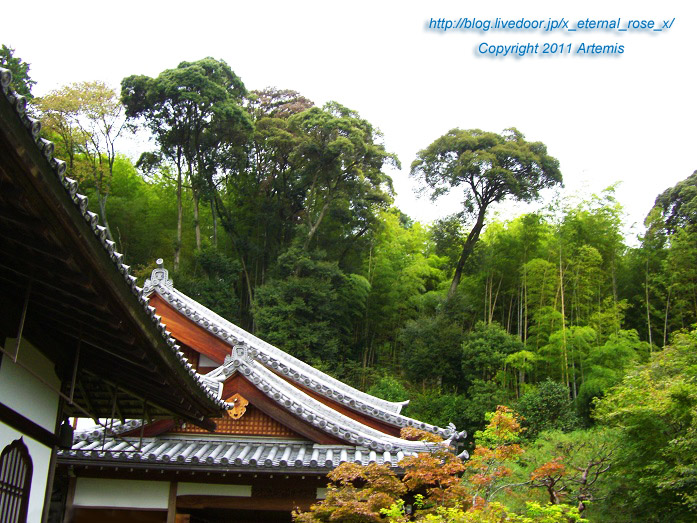 10.10.24.4 鈴虫寺  (7)