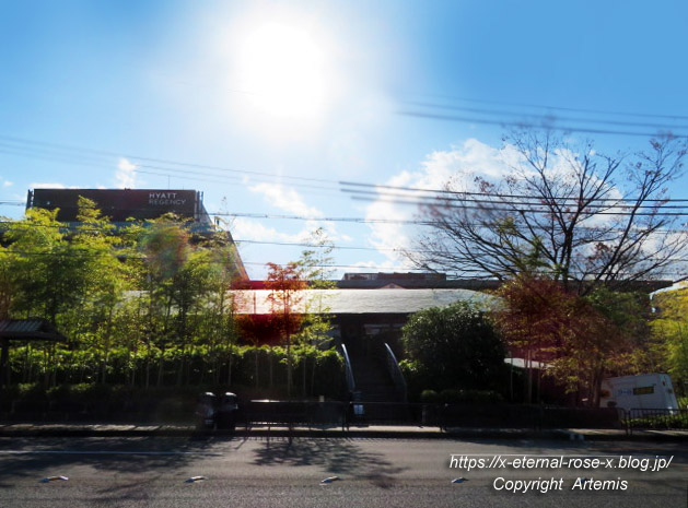 21.11.26.15 カフェ33 (1)