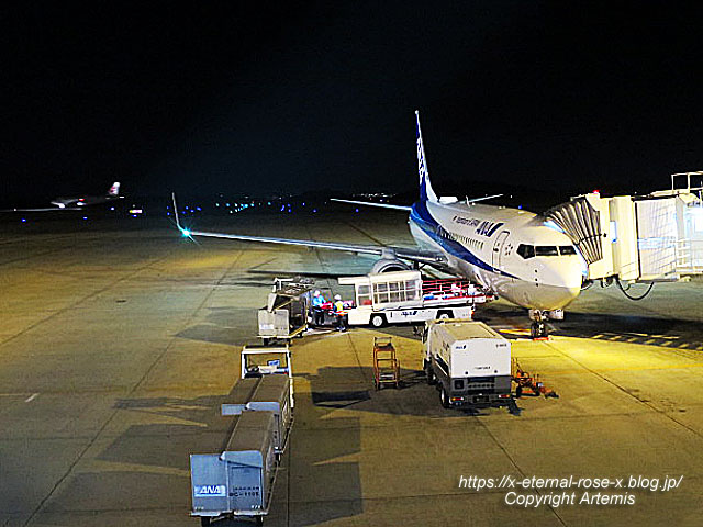 18.11.24.16 新千歳空港 (31)