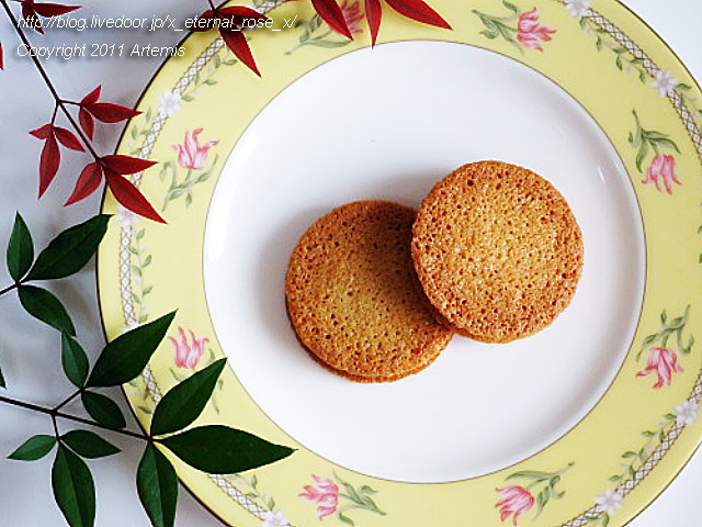 18.11.22.14 旭山動物園 (24)