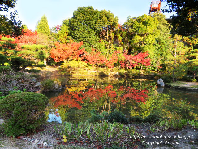 19.11.23.9 法金剛院  (13)