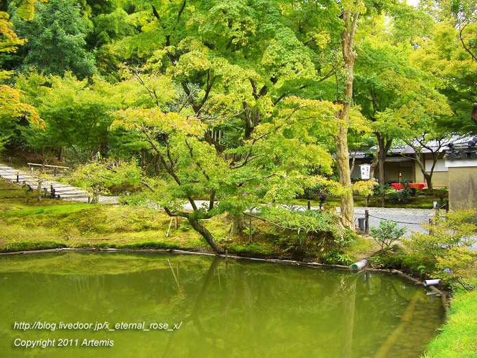 10.10.20.9 高台寺  (23)