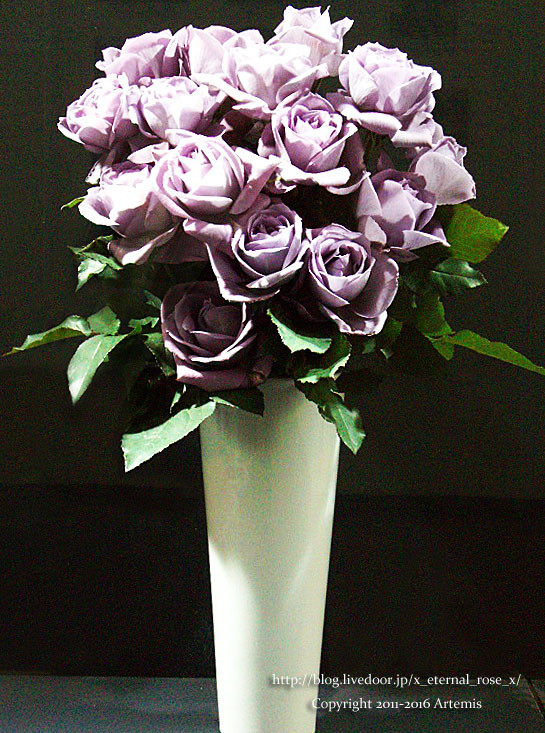 27 おかやま花だより  (57)