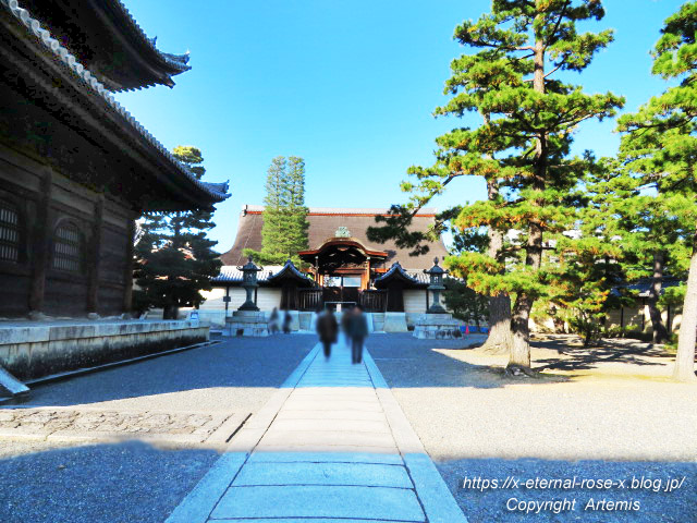 19.11.23.6妙心寺 (2)