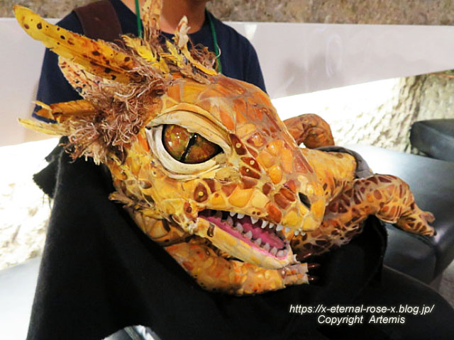 19.8.18.1 恐竜動物園 (141)